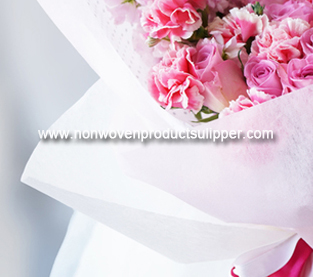 China Spunbond Non Woven Fabric Supplier, PP Non Woven Fabric Wholesale, Polypropylene Non Woven On Sales