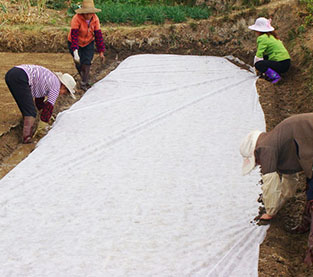 Anti-UV Non-woven Fabric Factory, UV Resistant Nonwoven Vendor, Biodegradable Nonwoven Fabric On Sales