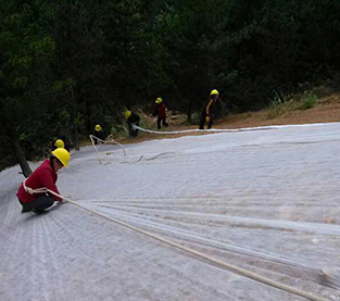 Garden Weed Fabric Factory, Weed Barrier Mat Manufacturer, Ground Control Fabric Wholesale