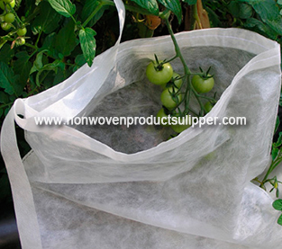 Agricultural Fruit Bag Wholesale, Spunbond Non Woven Bagging Factory, Nonwoven Bagging Vendor