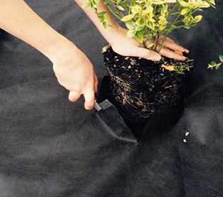 Agricultural Ground Cover Factory, Non Woven Mulch Company, Agriculture Mat Vendor