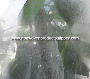  Agricultural Nonwovens On Sales, Polypropylene Non Woven Vendor,  Spunbond Non Woven Fabric Factory