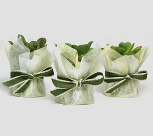 Garden Weed Barrier Wholesale, Biodegradable Landscape Fabric Supplier, Non Woven Mulch On Sales