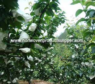 China Spunbond Non Woven Bag Wholesale, Fruit Protection Bag Factory, Fruit Non Woven Bag Supplier