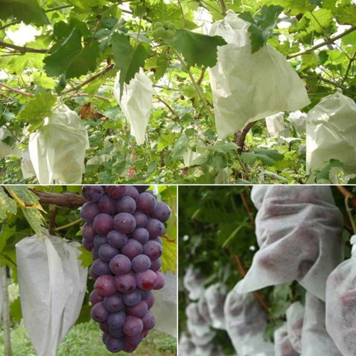 Grape Growing Bags Factory, Reusable Non Woven Fabric Grape Growing Bags, Grape Growing Bags Vendor In China