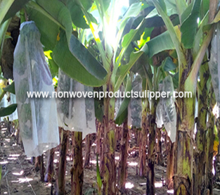 China Spunbond Non Woven Bag Vendor, Fruit Protection Bag Supplier, Fruit Non Woven Bag Wholesale