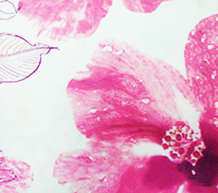 Decoration Materials Wholesale, Printed Non-woven Fabric On Sales, Non Woven Fabric Factory