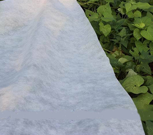 Agricultural Fabric On Sales, Agricultural Shade Cloth Vendor, Agriculture Cover Supplier