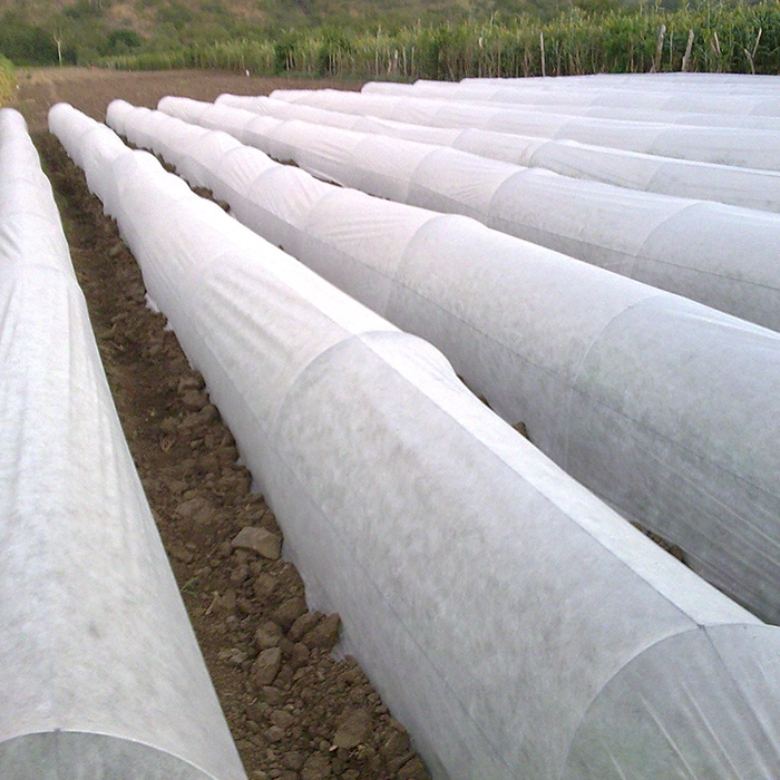 Non Woven Film Greenhouse For Agriculture Farming