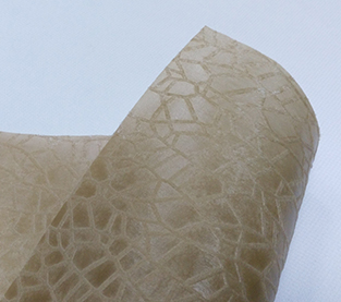 China Indian non-woven market has unlimited business opportunities manufacturer