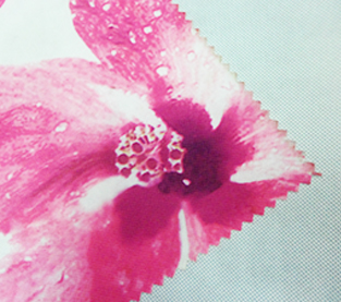 China Do you know polyester staple fiber? manufacturer