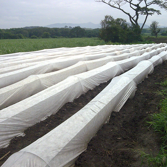 Agricultural Non Woven Fabric On Sales, Non Woven Film Greenhouse For Agriculture Farming, Agricultural Shade Cloth Manufacturer