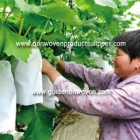 China Saco de proteção de frutas para prevenção de aves fabricante