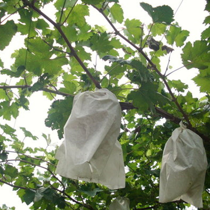 50 PCS Non-woven Fabrics Ecological Film Grape Bag Fruit Pest Bird Control Bag 
