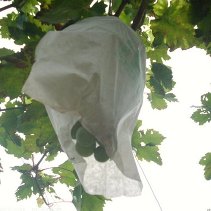 Китай Китай Виноградные сумочки оптом, Китай Виноградные мешки Полипропиленовые нетканые защитные мешки для фруктов, Fruit Protection Bag Company производителя