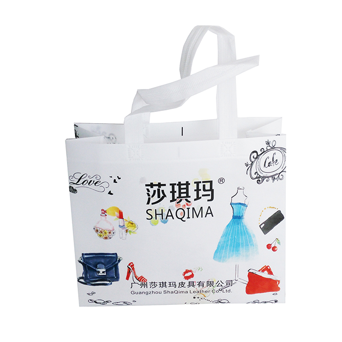China Customized Logo Printed Non Woven Shopping Bag Hersteller
