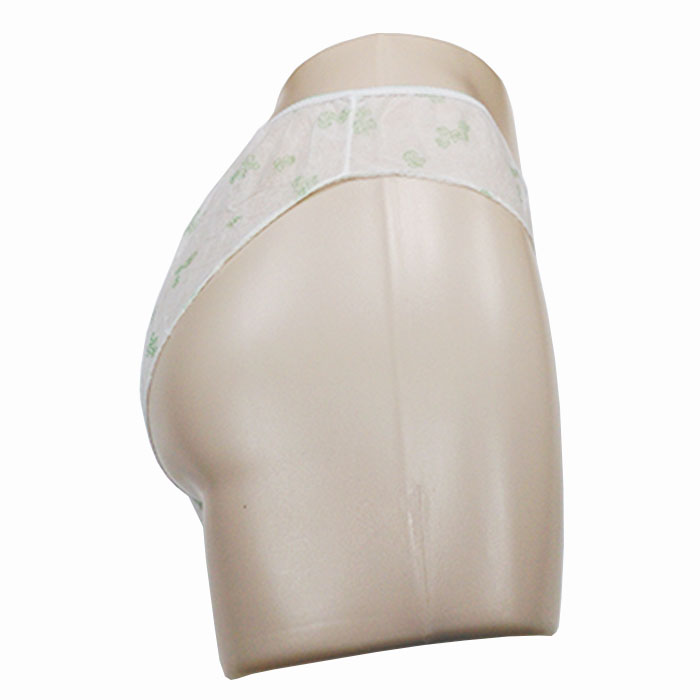 Disposable Underwear For Spa Panties For Women Period Sterilized Women Panties Supplier