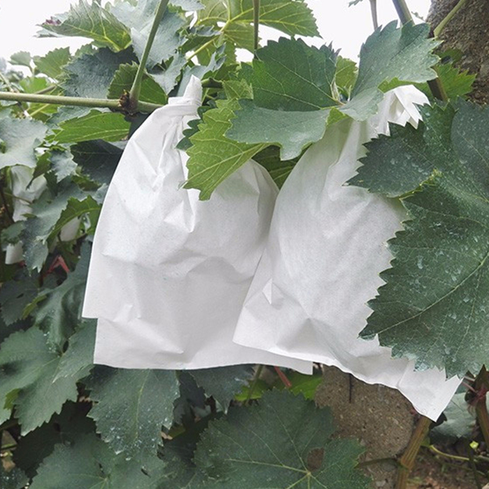 China Fruit Protection Bags Wholesale, Eco-friendlyFruit Protection PP Non-woven Bags, Growing Fruit Vendor Bags In China Hersteller