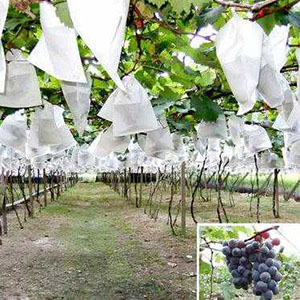 Grape Growing Bags Factory, Reusable Non Woven Fabric Grape Growing Bags, Grape Growing Bags Vendor In China