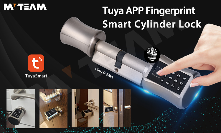 New Arrival! Smart Cylinder Door Lock