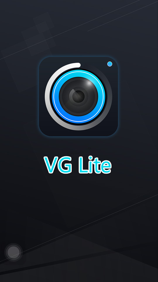 VG Lite