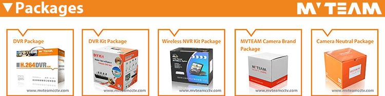 megapixel outdoor night vision closed circuit television cameras