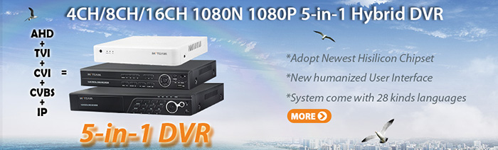 MVTEAM 2016 Year-end Summary---New CCTV Cameras and DVRs