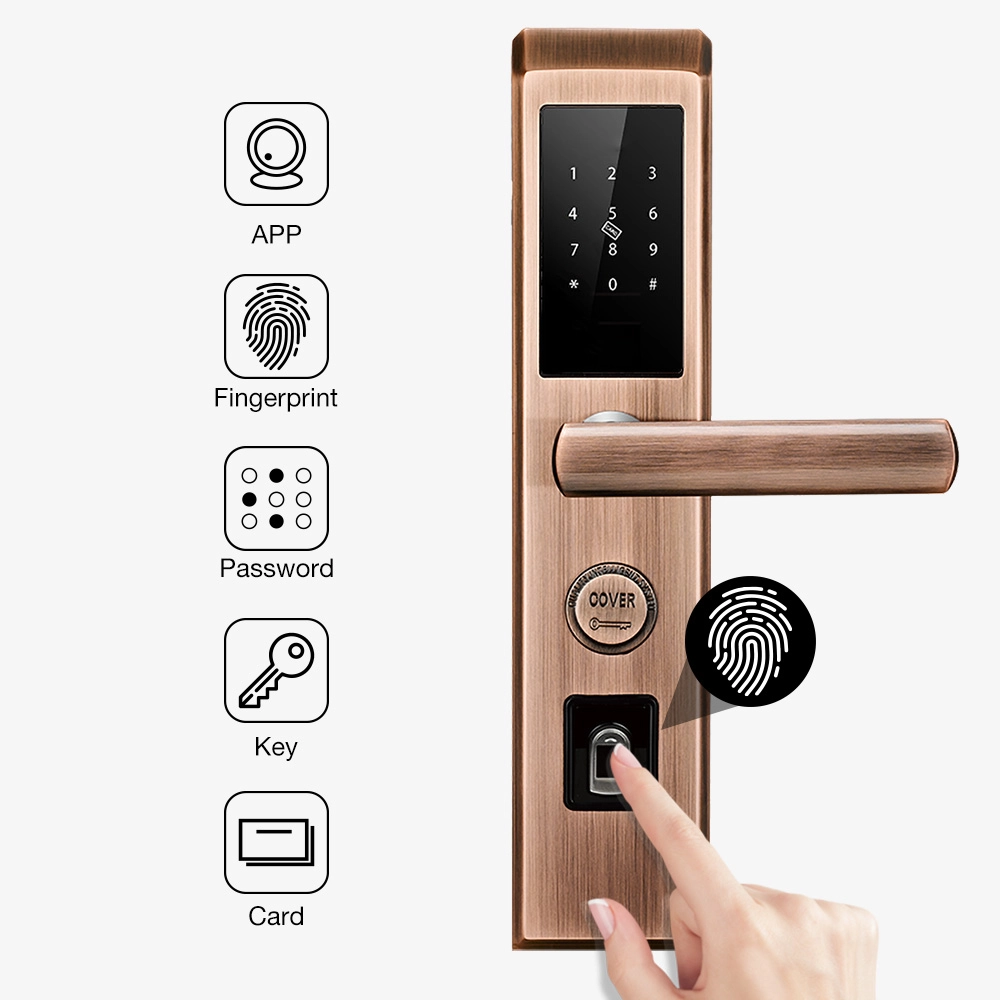 Modern Door Lock Price Cheap Bronze Bluetooth Biometric Fingerprint Scanner Door Lock