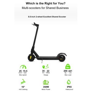 10'' Bird Lime shared scooter hidden cables GPS tracker intelligent application control