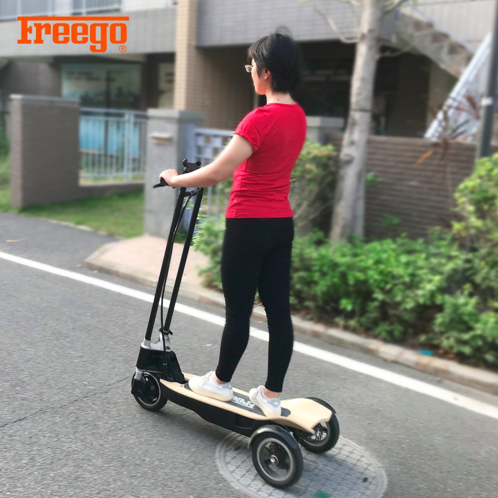 China 2018 Crazy Off-Road driewielige elektrische scooter met dubbele vering model Es-10X fabrikant