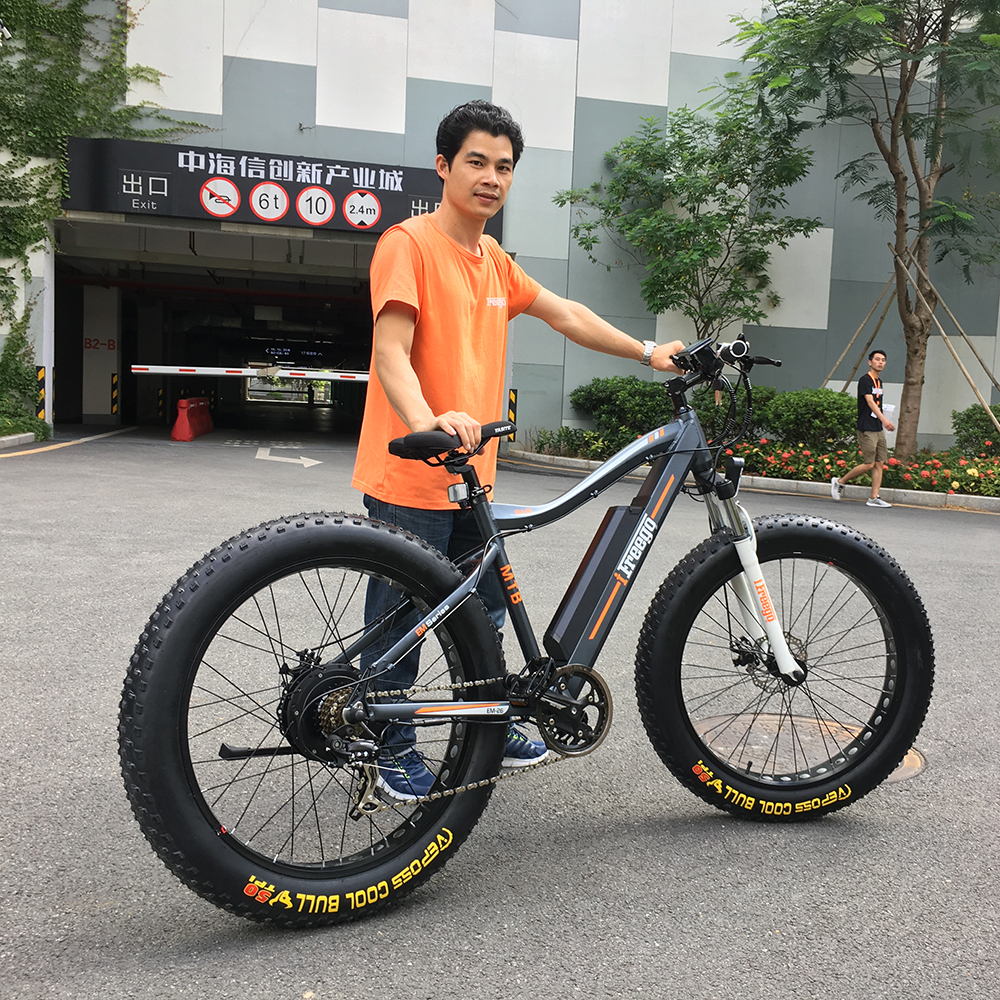 China Full Suspension 26inch Cheap Sport Mountain Ebike manufacturer