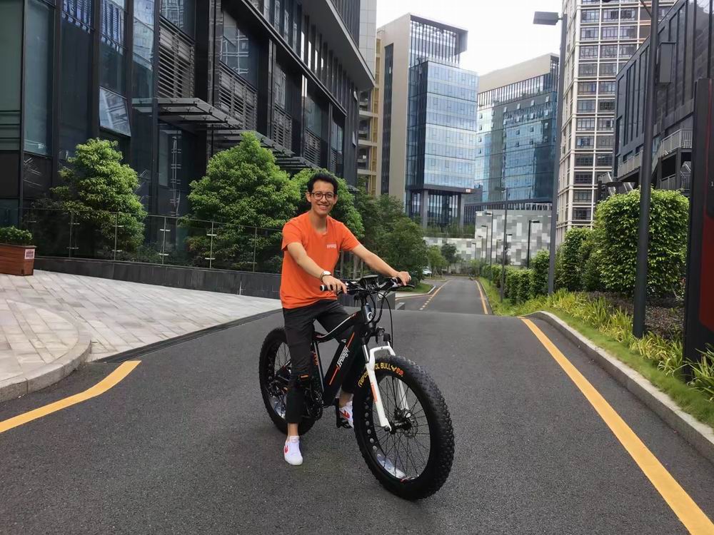 China Fat tire mountain electric bicycle with shock absorber Hersteller