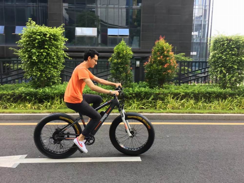 الصين Fat tire mountain electric bicycle with shock absorber الصانع