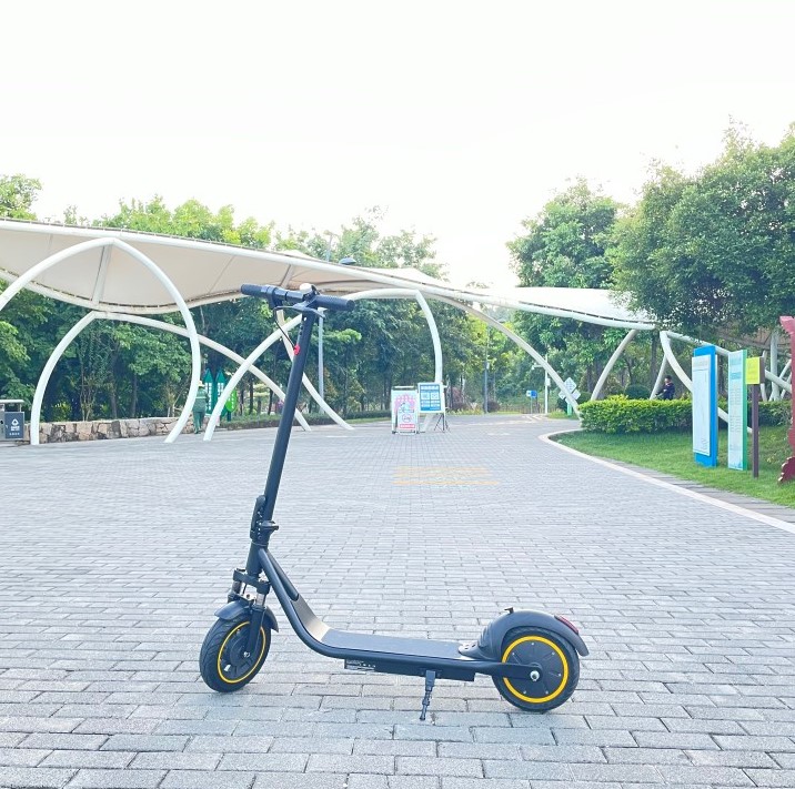 China FREEGO E10 PRO 2-wiel lichtgewicht vouwen elektrische scooter fabrikant