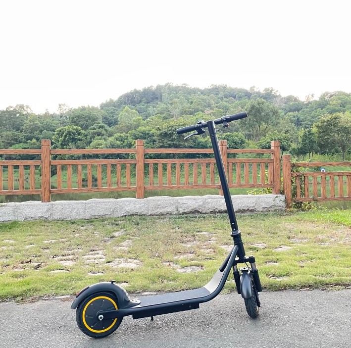 Cina Scooter elettrico pieghevole leggero a 2 ruote FreeGo E10 Pro produttore