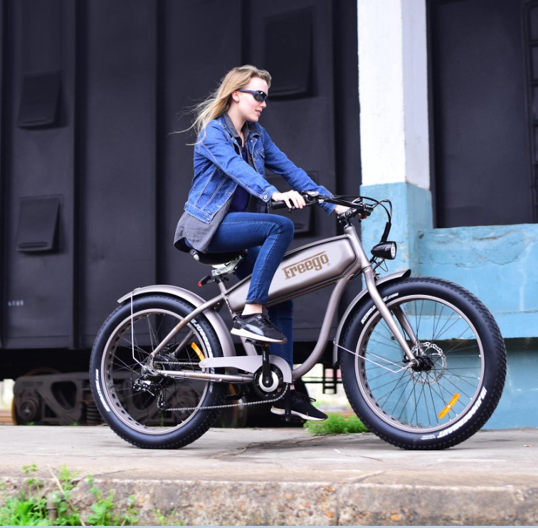 China Freego bicicleta de montanha de pneu de gordura elétrica EM-26HF fabricante