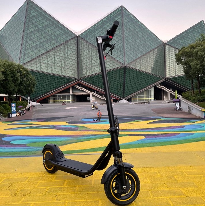China Nieuw ontwerp Duitsland ABE-certificering 10 inch elektrische scooter met ophanging 275 USD Prijs fabrikant