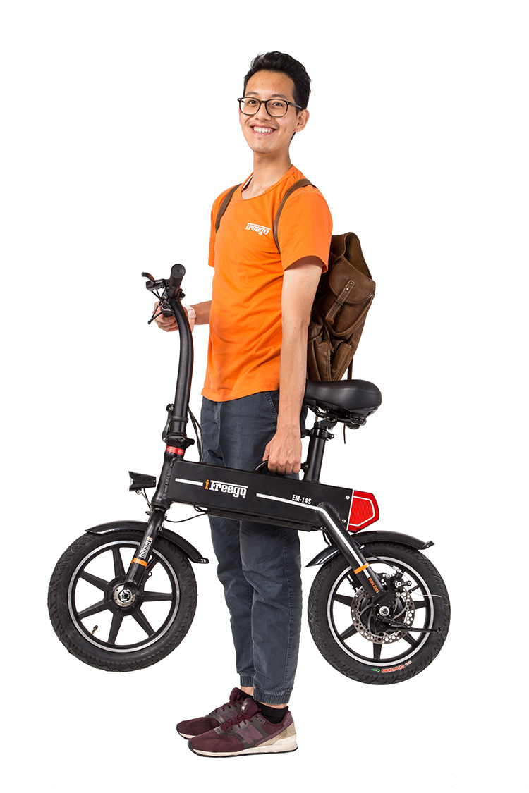 China Small folding electric bike ,adult 3 wheel bicycle 250w manufacturer