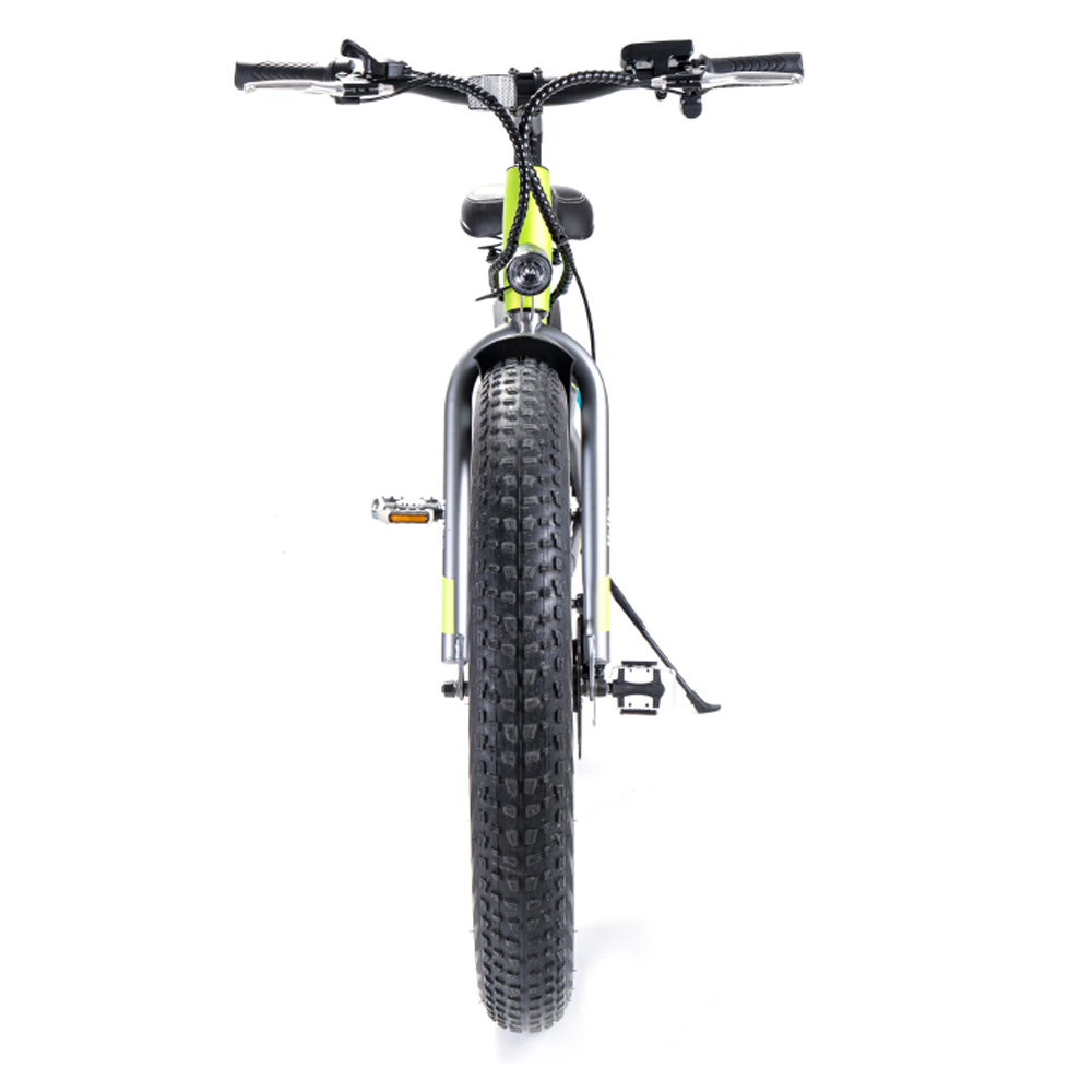 China high speed bicyles cruiser snow bicycle fat tire mountain electric bikes EM-26F manufacturer