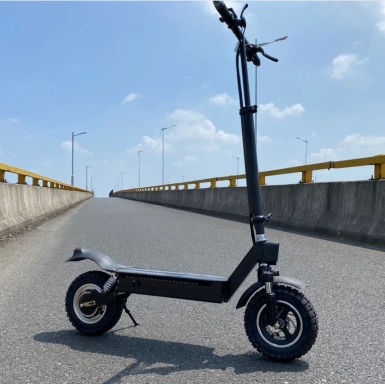 China off road 11 inch 1000w  motor  48V  15Ah powerful electric scooter manufacturer