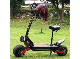 중국 X10DF fat duar motors scooter 제조업체