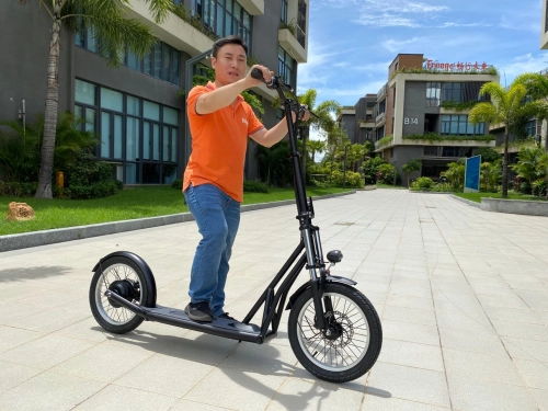 16inch electric kick scooter