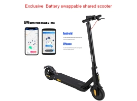 China how to rent a sharing scooter with app fabrikant