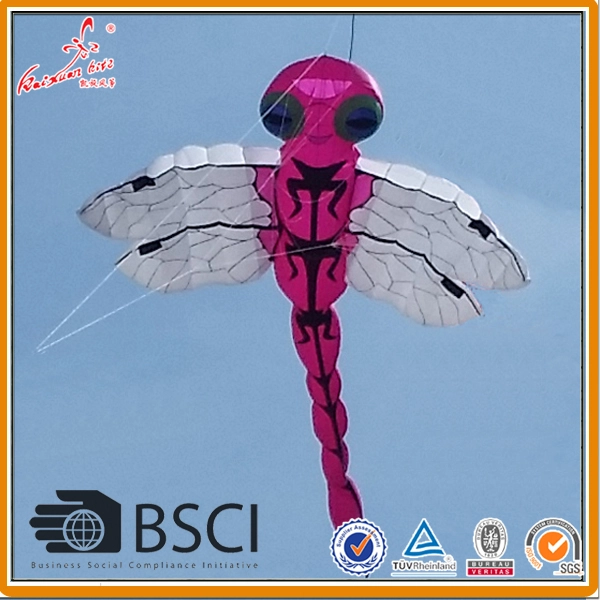 Large inflatable dragon fly kite from kite factory