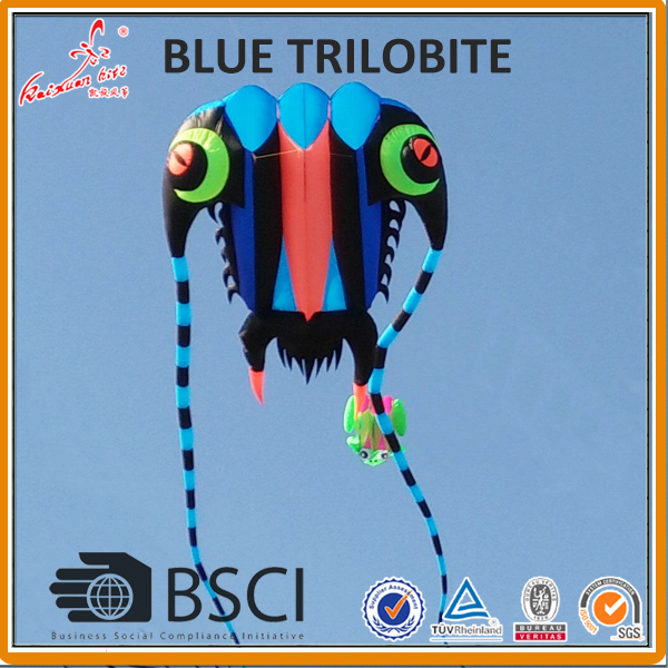10 SQM trilobite pilot kite from kite factory