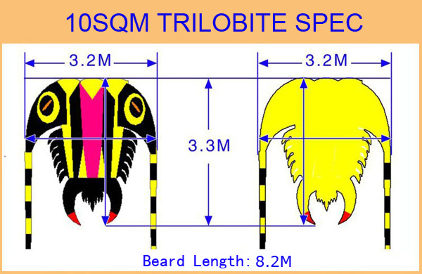 10 SQM trilobite pilot kite from kite factory