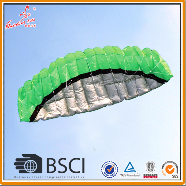2.5M dual line parafoil kite for sale