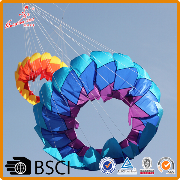 2m ring kite lotus kite van de vlieger fabriek