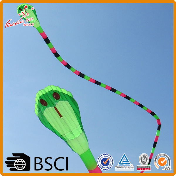 40 M Inflatable soft snake power kite from weifang kite factory