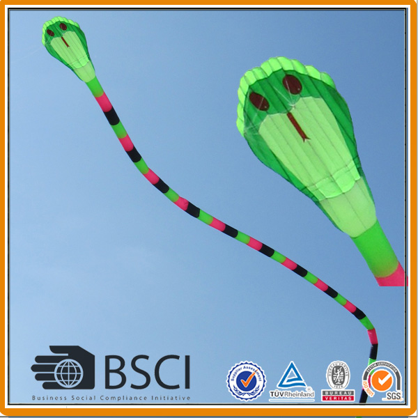 40 m Dual Line Large aufblasbare Snake Kite zum Verkauf